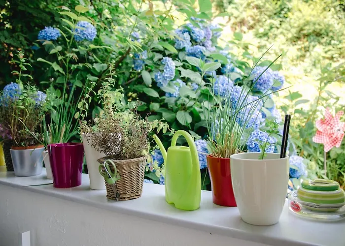 Knusperhaeuschen Сasa de vacaciones